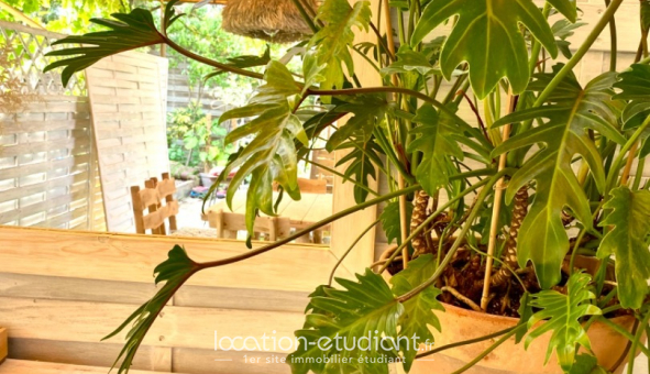Logement tudiant Location T2 Meublé Antibes (06160)