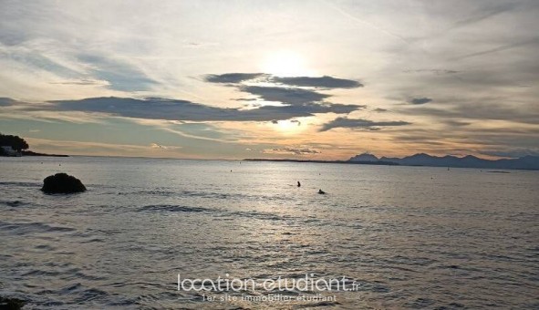 Logement �tudiant T2 &agrave; Antibes (06160)