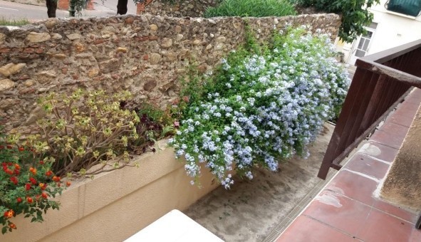 Logement tudiant T2 à Argels sur Mer (66700)