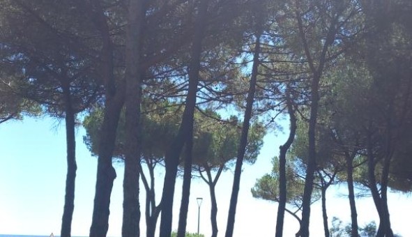 Logement �tudiant Location T2 Vide Argel�s sur Mer (66700)