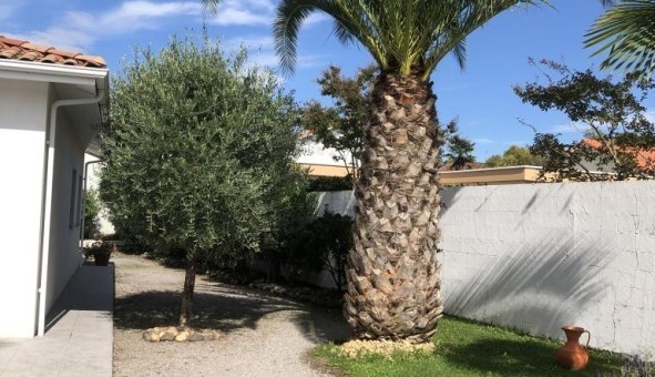 Logement tudiant T2 à Argelos (40700)
