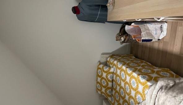 Logement tudiant T2 à Armentires (59280)