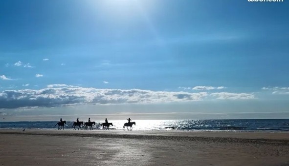 Logement �tudiant T2 &agrave; Auberville (14640)