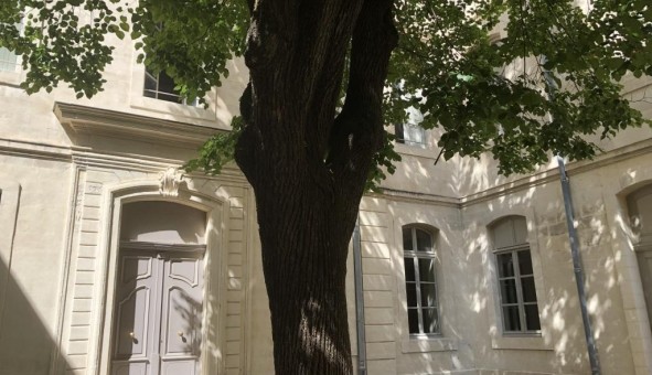 Logement tudiant Location T2 Vide Avignon (84000)