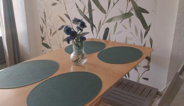 Logement tudiant T2 à Avignon (84000)