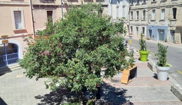 Logement tudiant T2 à Avignon (84000)