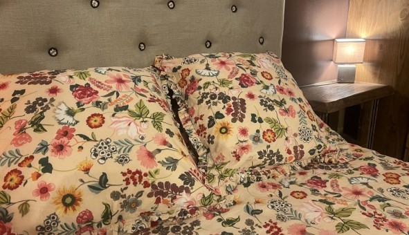 Logement �tudiant Location T2 Vide Baillargues (34670)