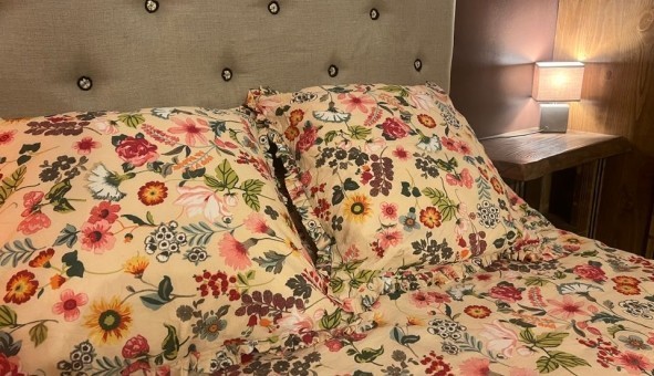 Logement �tudiant Location T2 Vide Baillargues (34670)