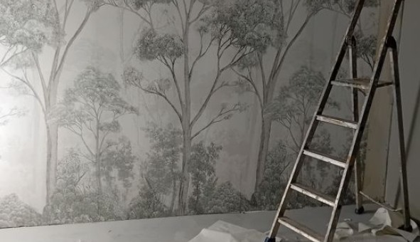 Logement �tudiant Location T2 Vide Br�al sous Montfort (35310)