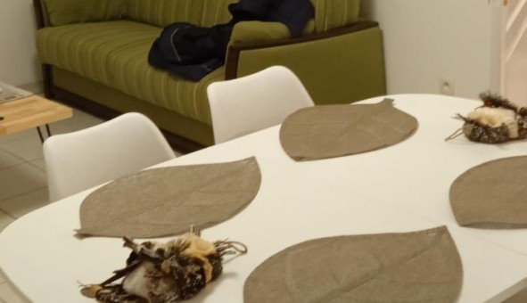 Logement tudiant T2 à Bron (69500)