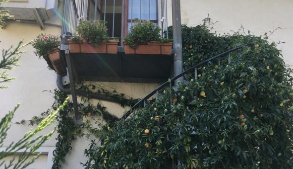 Logement tudiant T2 à Bron (69500)