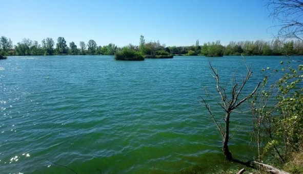 Logement �tudiant T2 &agrave; Brugui�res (31150)