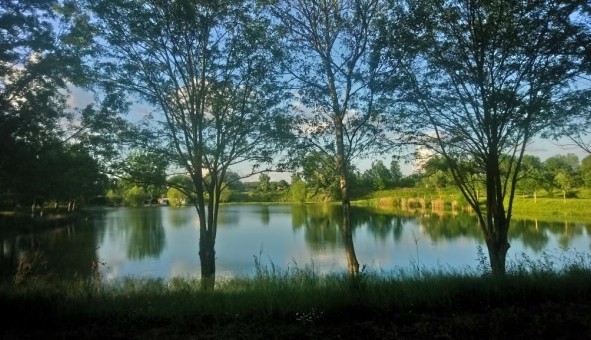 Logement �tudiant T2 &agrave; Brugui�res (31150)