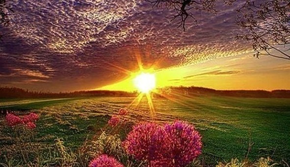 Logement �tudiant Location T2 Vide Cabasse (83340)