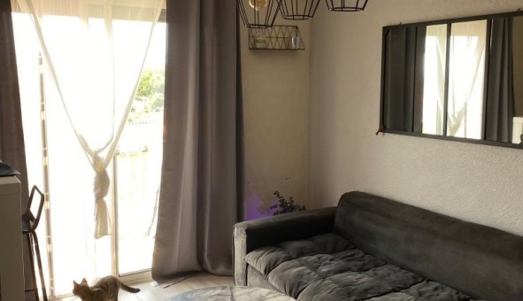 Logement tudiant T2 à Canet en Roussillon (66140)