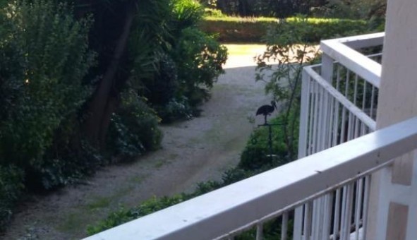 Logement �tudiant T2 &agrave; Cannes (06400)