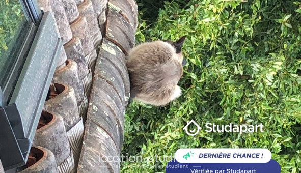 Logement tudiant T2 à Cenon (33150)