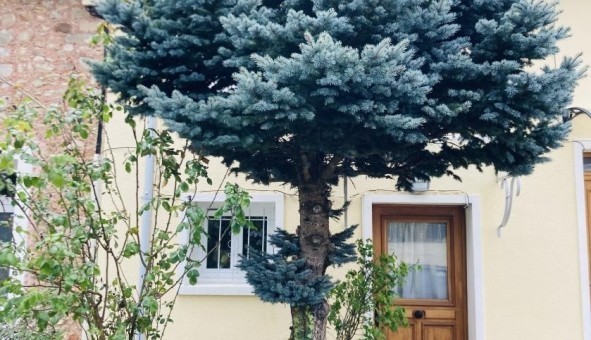 Logement �tudiant T2 &agrave; Cesson (77240)