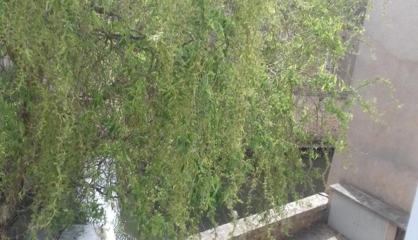 Logement tudiant T2 à Chartres (28000)