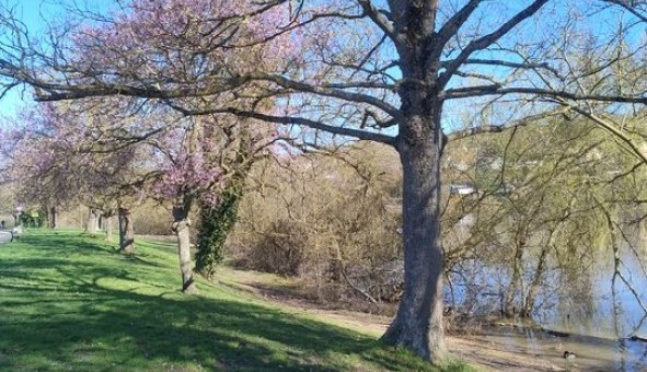 Logement �tudiant T2 &agrave; Corbeil Essonnes (91100)