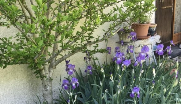 Logement �tudiant Location T2 Vide Courcouronnes (91080)