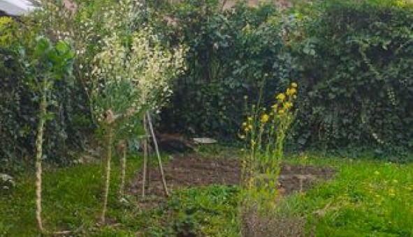 Logement �tudiant T2 &agrave; Fontaine (38600)