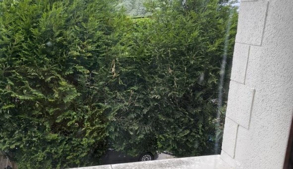 Logement tudiant T2 à Gournay sur Marne (93460)