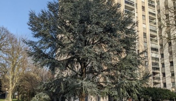 Logement �tudiant T2 &agrave; L'Ha� les Roses (94240)