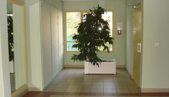 Logement tudiant T2 à L'Isle sur la Sorgue (84800)