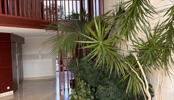 Logement tudiant T2 à La Rochelle (17000)