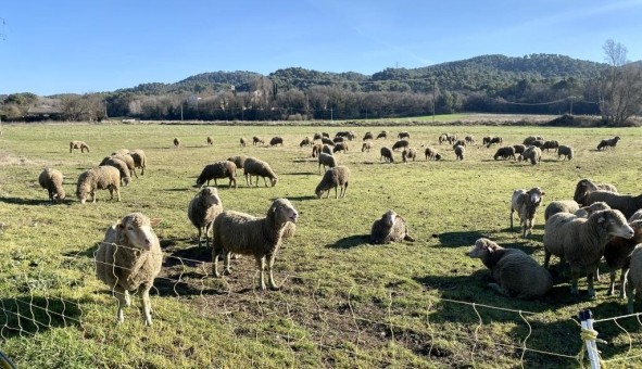 Logement tudiant T2 à La Roque d'Anthron (13640)