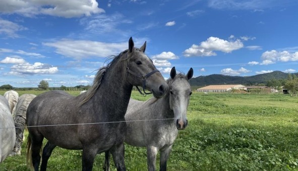 Logement tudiant T2 à La Roque d'Anthron (13640)