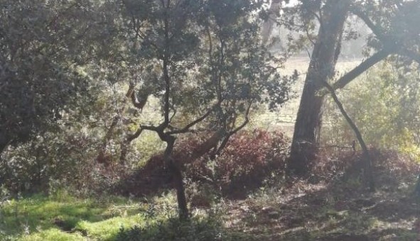 Logement �tudiant T2 &agrave; Lambesc (13410)