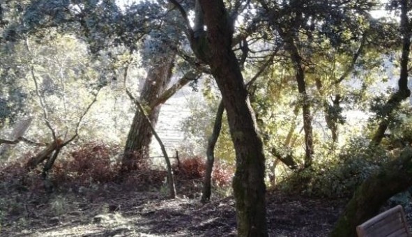 Logement �tudiant T2 &agrave; Lambesc (13410)