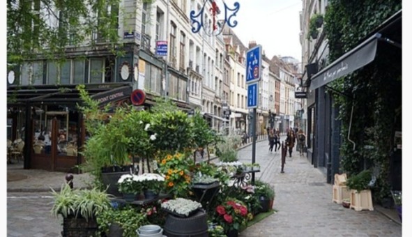 Logement tudiant Location T2 Vide Lille (59800)