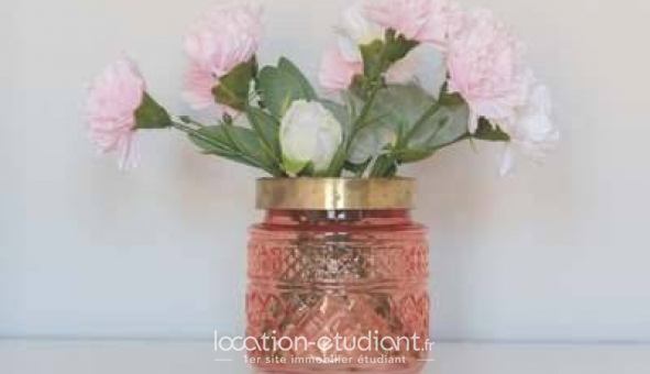 Logement �tudiant T2 &agrave; Lille (59800)