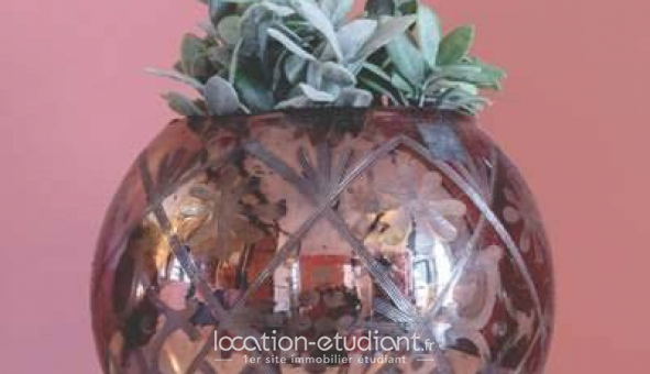 Logement �tudiant T2 &agrave; Lille (59800)