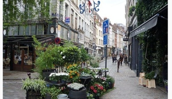 Logement �tudiant T2 &agrave; Lille (59800)