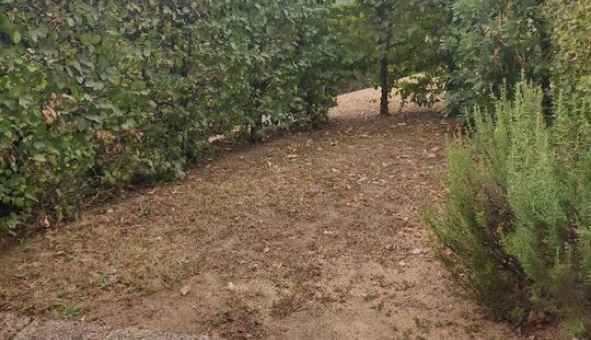 Logement �tudiant Location T2 Vide Limoges (87280)