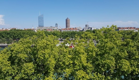 Logement tudiant Location T2 Vide Lyon 2me arrondissement (69002)