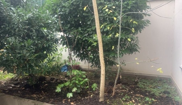 Logement tudiant T2 à Lyon 3me arrondissement (69003)