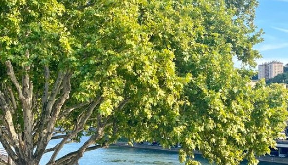 Logement �tudiant T2 &agrave; Lyon 4�me arrondissement (69004)