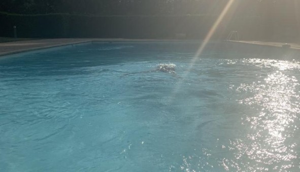 Logement tudiant T2 à Lyon 5me arrondissement (69005)
