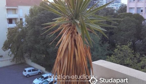 Logement tudiant T2 à Marseille 09me arrondissement (13009)