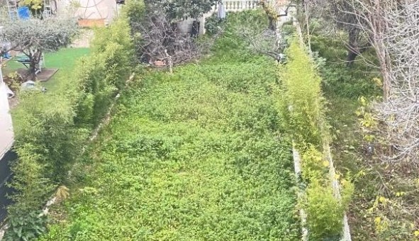 Logement tudiant Location T2 Vide Marseille 10me arrondissement (13010)