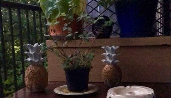 Logement �tudiant T2 &agrave; M�rignac (33700)