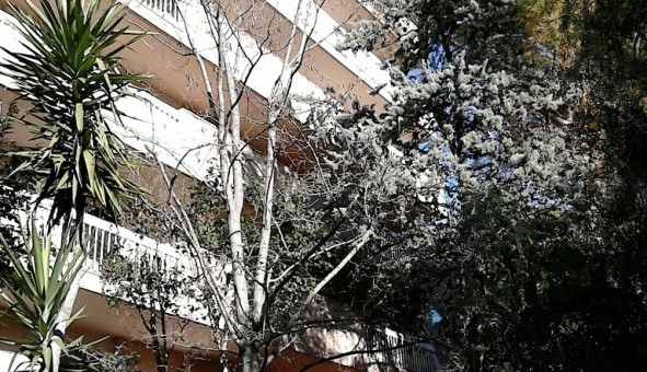 Logement tudiant T2 à Montpellier (34080)