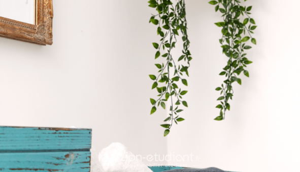 Logement �tudiant T2 &agrave; Montpellier (34080)