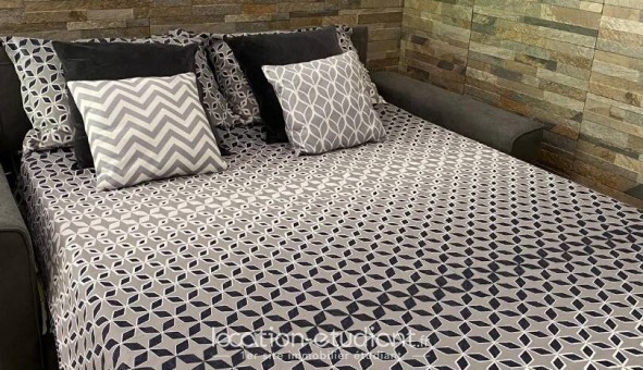 Logement �tudiant T2 &agrave; Nice (06100)