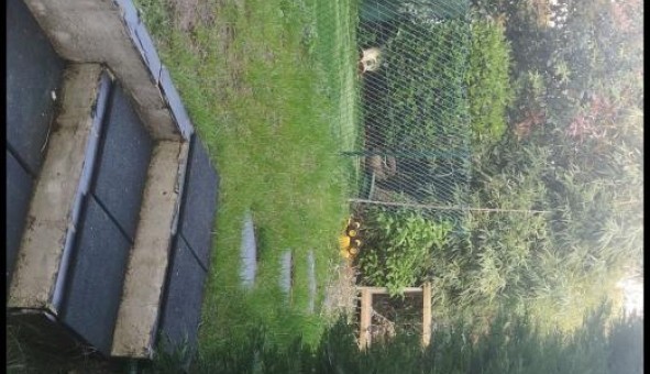 Logement tudiant Location T2 Vide Noisy le Grand (93160)